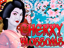 Онлайн-аппарат Cherry Blossoms